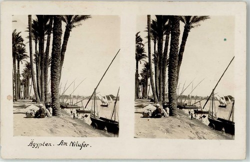 52227855 nilufer aegypten - nilufer,